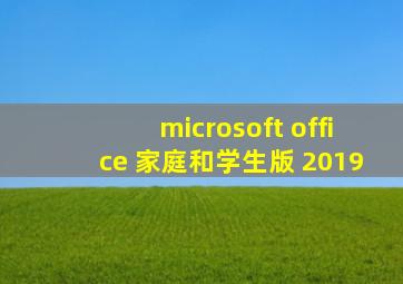 microsoft office 家庭和学生版 2019